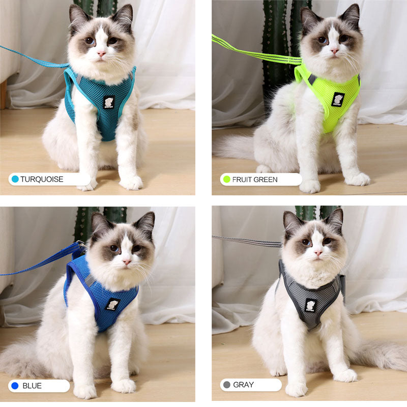 Cat Traction Harness