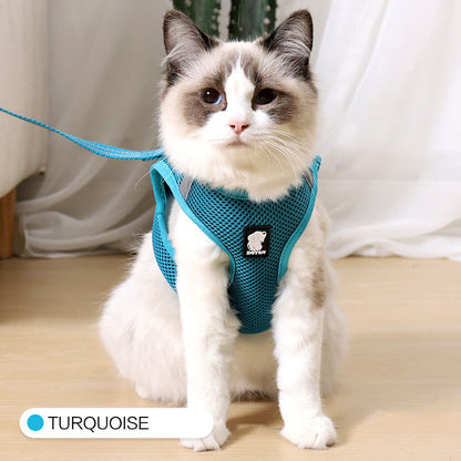 Cat Traction Harness