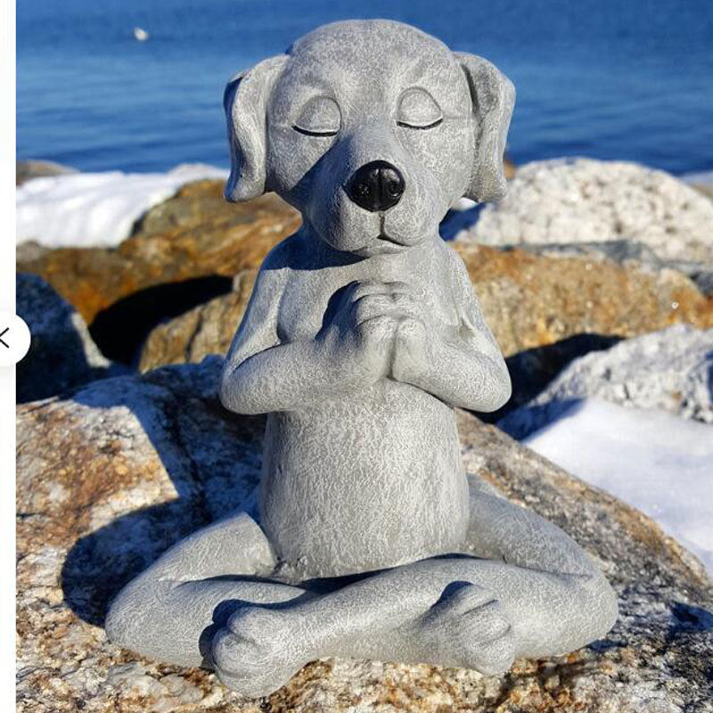 Dog Buddha Meditation