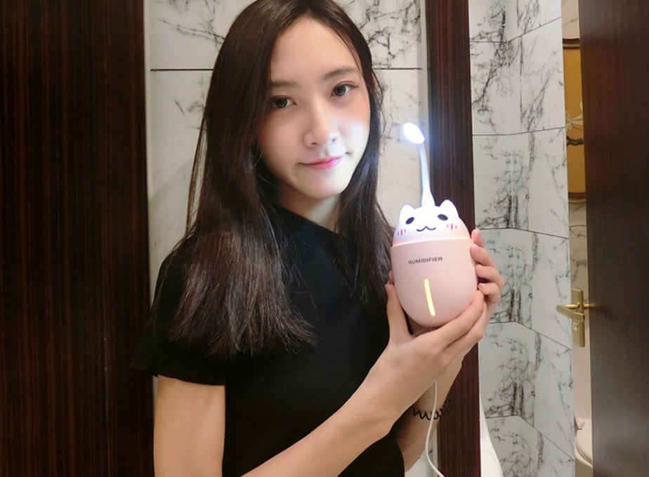 Meng Cat Humidifier