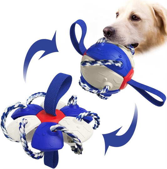 Dog Football Soccer Ball