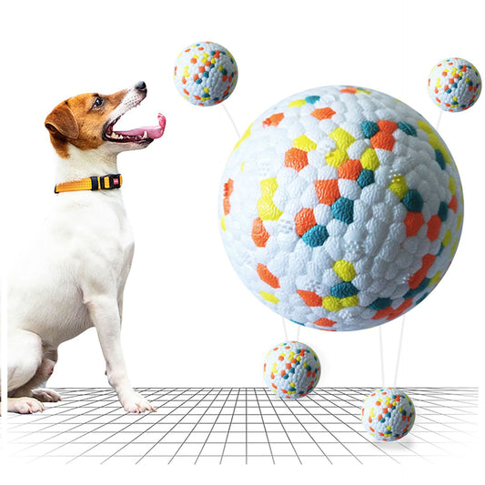 Dog Molar Toy Ball