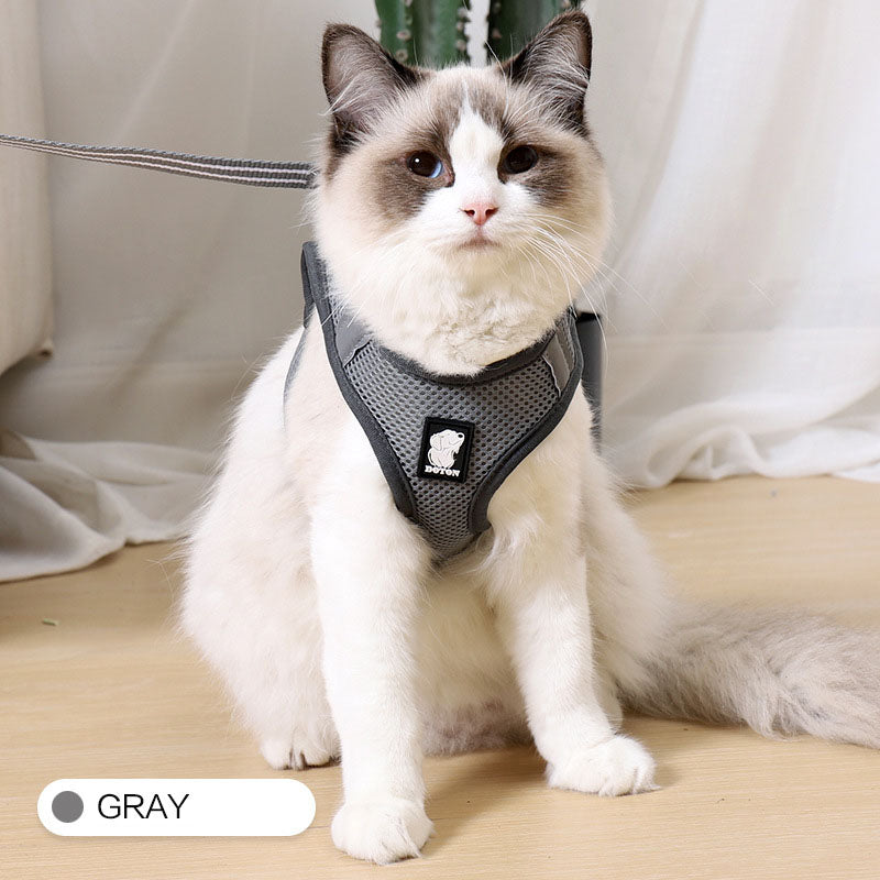 Cat Traction Harness