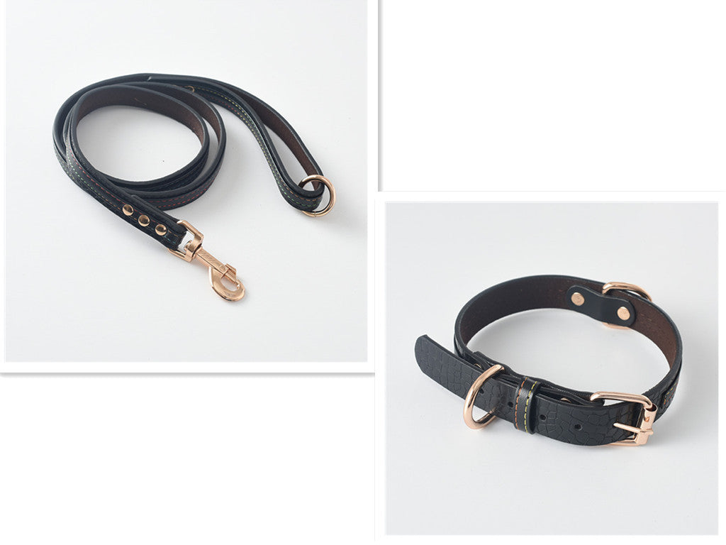 Dog Leash Collar