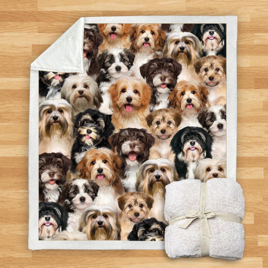 Pet Printed Flannel Blanket