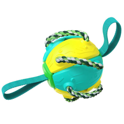 Dog Football Soccer Ball