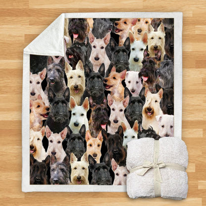 Pet Printed Flannel Blanket