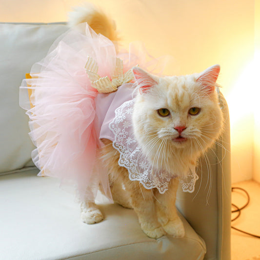 CAT DRESSES| Free Worldwide Delivery | Foryourcatanddog.com For Your Cat And Dog CAT DRESSES| Free Worldwide Delivery | Foryourcatanddog.com For Your Cat And Dog