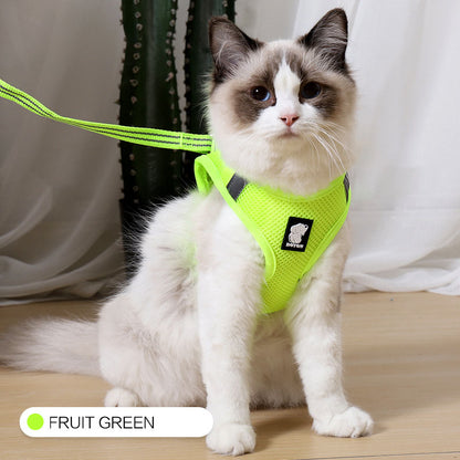 Cat Traction Harness