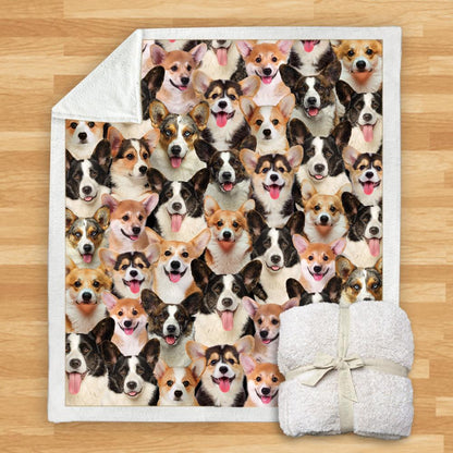 Pet Printed Flannel Blanket