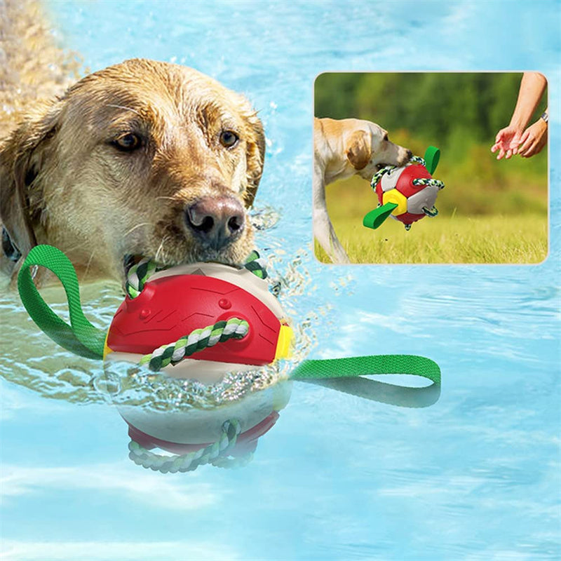 Dog Football Soccer Ball