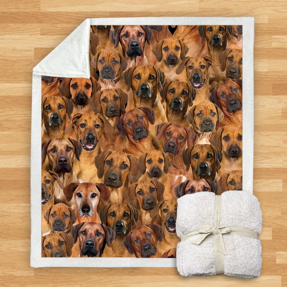 Pet Printed Flannel Blanket