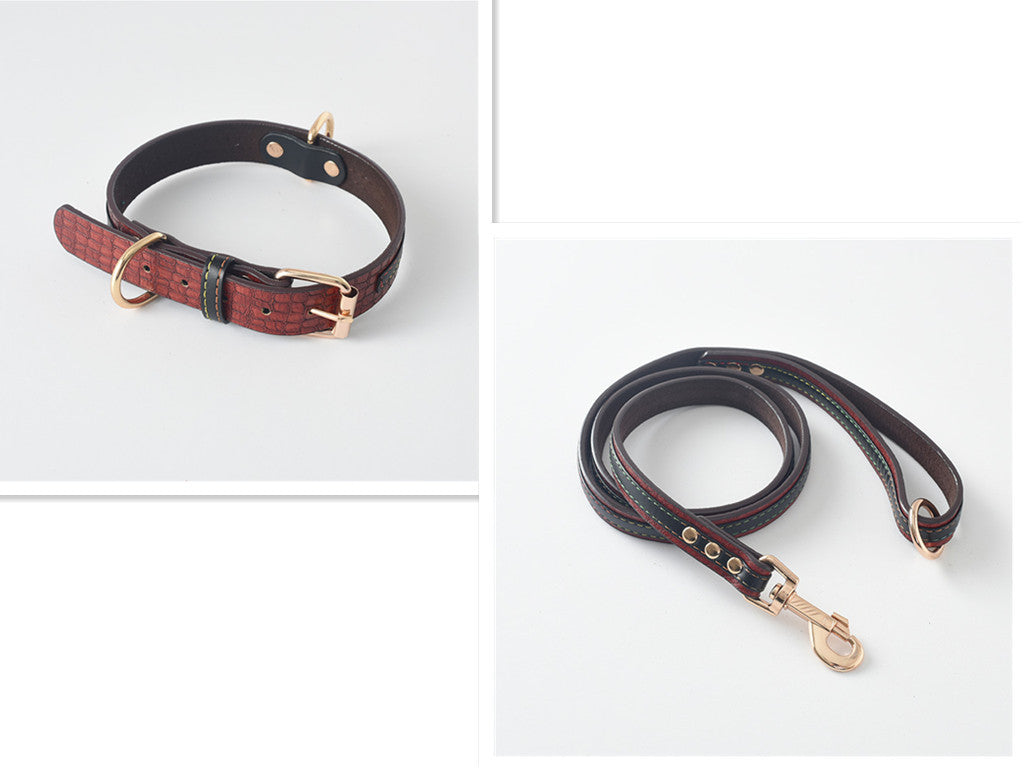 Dog Leash Collar