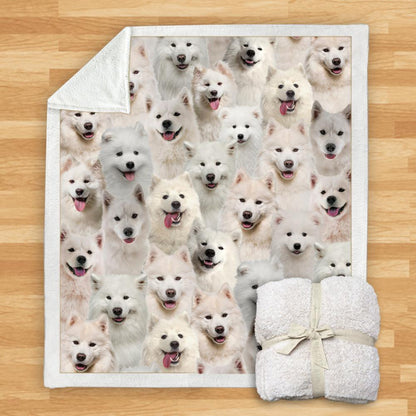 Pet Printed Flannel Blanket