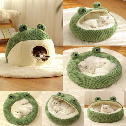 Cat Frog Nest