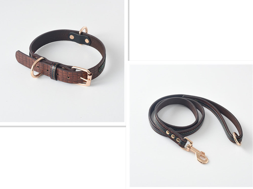 Dog Leash Collar