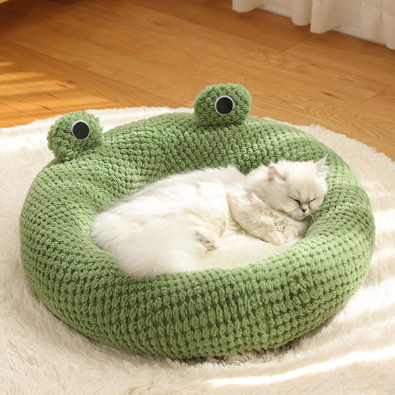 Cat Frog Nest