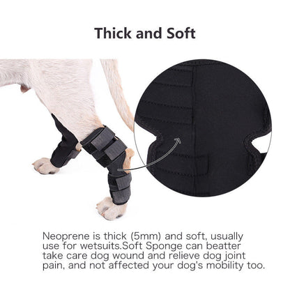 Pet Recovery Knee Protector