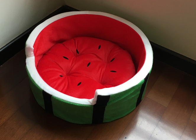 Watermelon Pet Bed