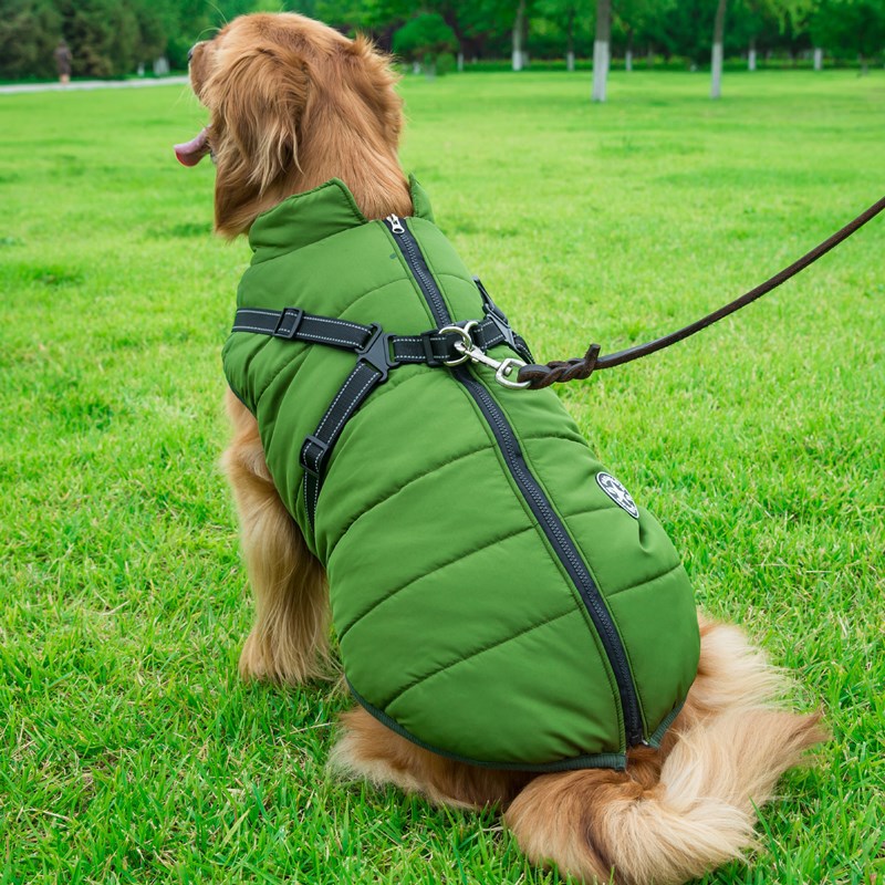 All Season Dog Coat