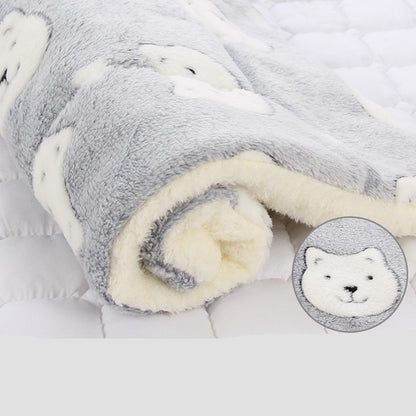 Pet Thickened Blanket