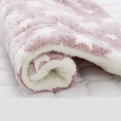 Pet Thickened Blanket