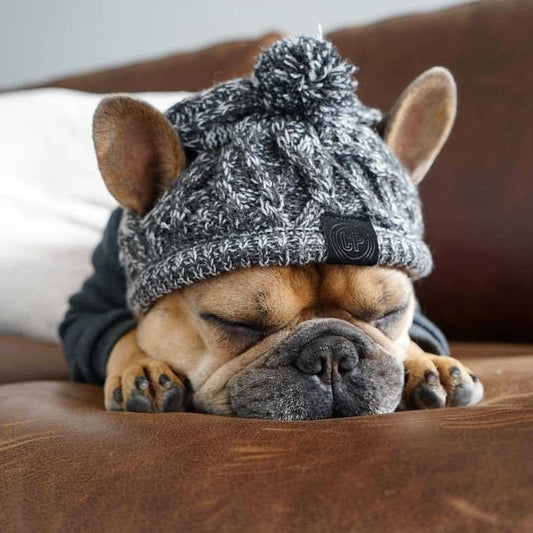 Windproof Polar Pom Dog Hat