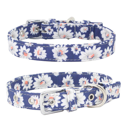 Dog Colorful Collar