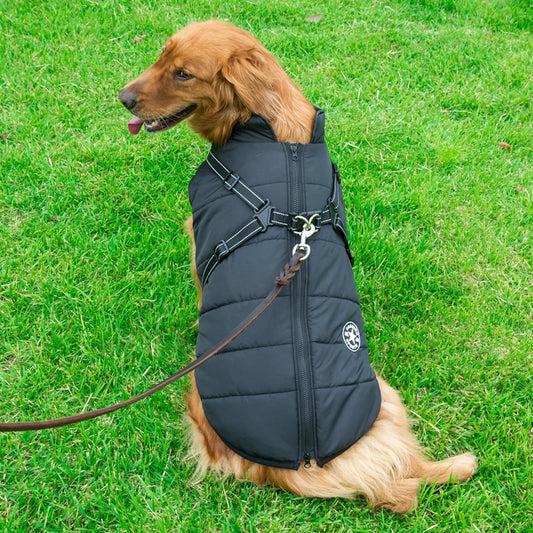 All Season Dog Coat