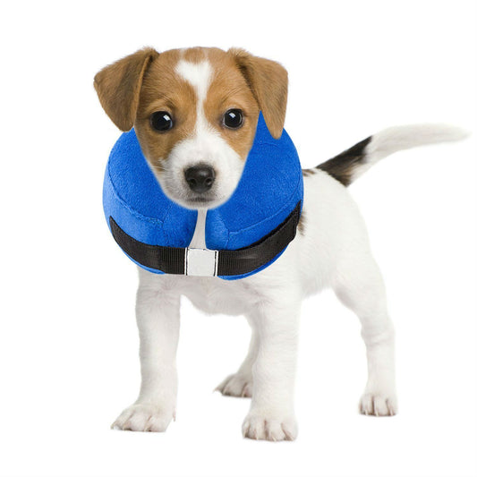 Pet Protective Collar