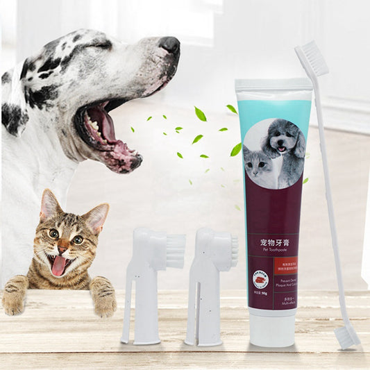 Cat Toothpaste Set