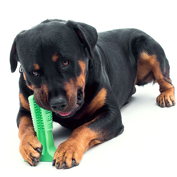 Silicone Dog Toothbrush