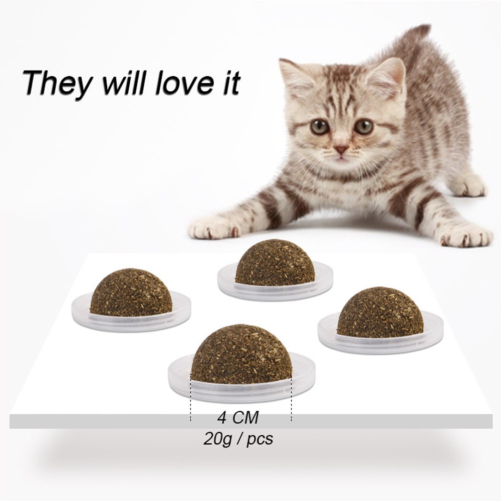 Cat Catnip Toy Ball