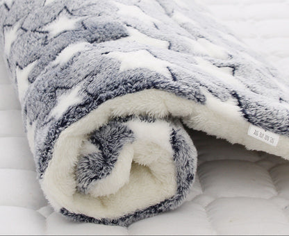 Pet Thickened Blanket