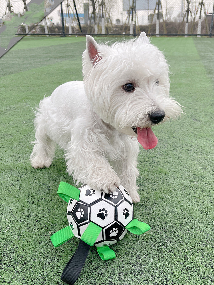 Dog Football Toy