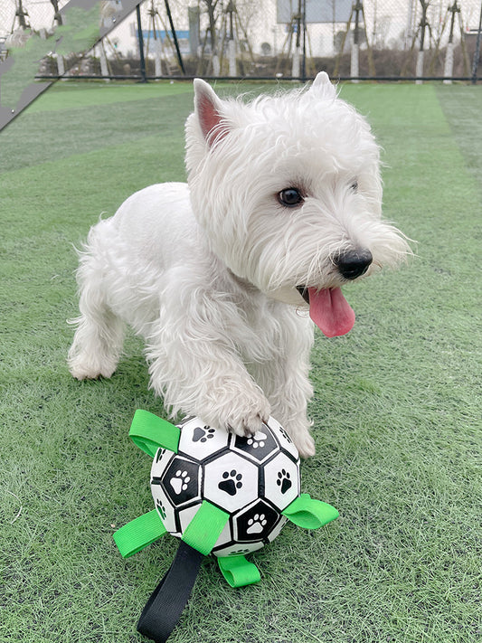 Dog Football Toy