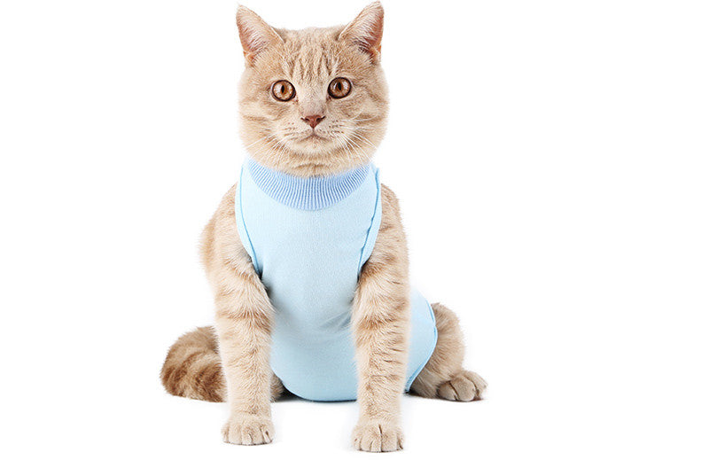 Clothes For Female Cats After Surgery