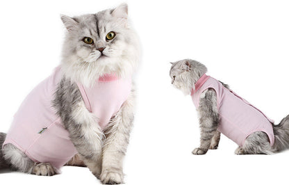 Clothes For Female Cats After Surgery