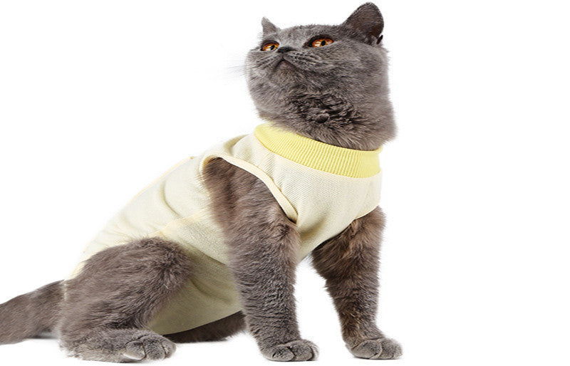 Clothes For Female Cats After Surgery