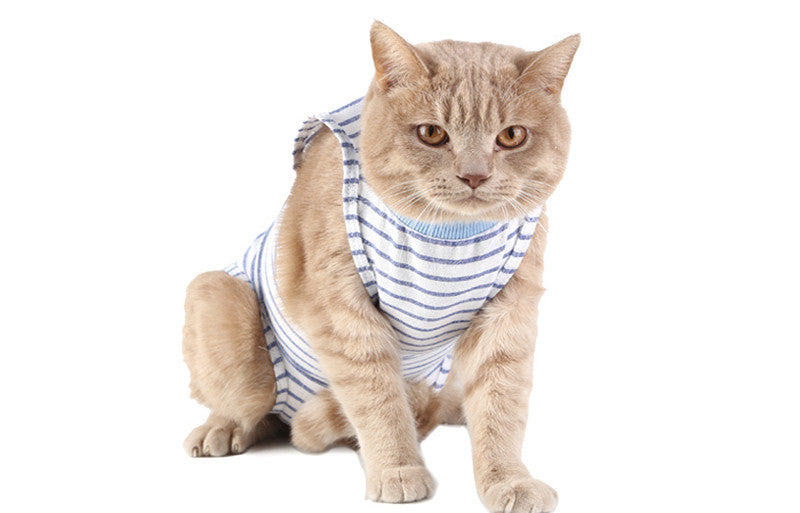 Clothes For Female Cats After Surgery