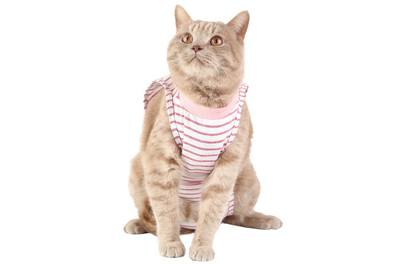 Clothes For Female Cats After Surgery