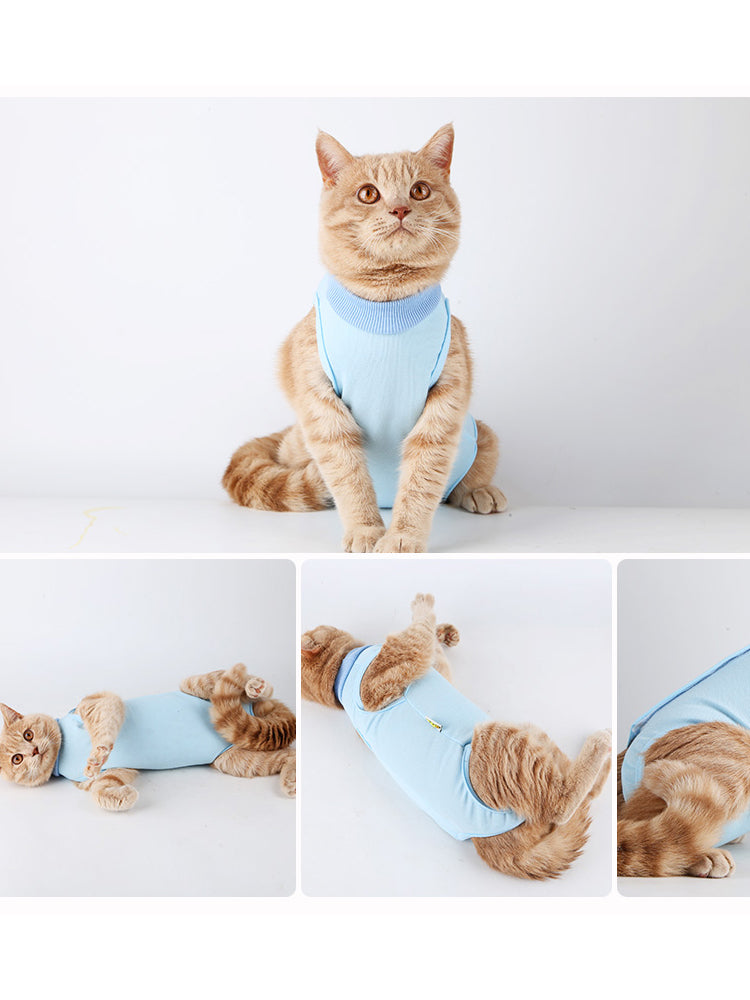 Clothes For Female Cats After Surgery