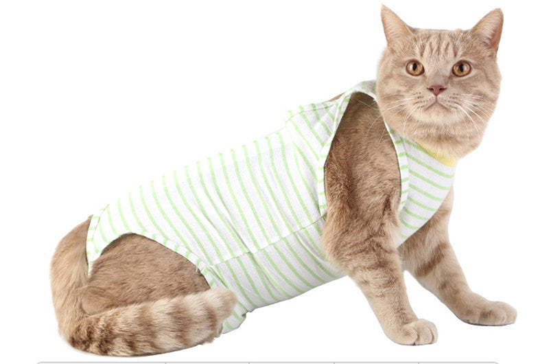 Clothes For Female Cats After Surgery