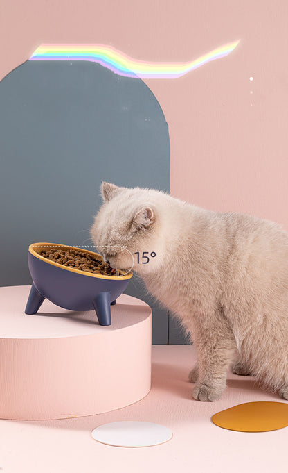 Cat Bowl With Stand