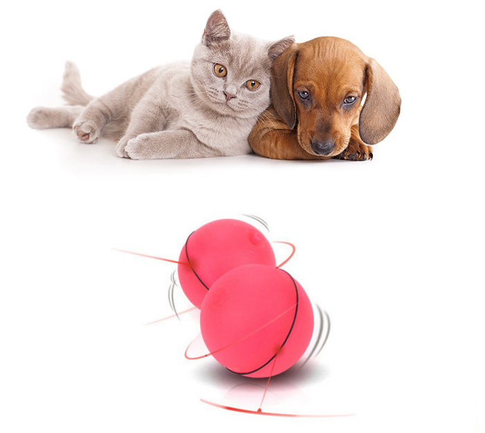 Funny Cat Toy Ball