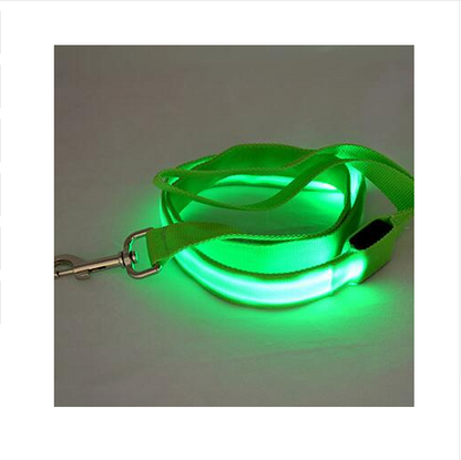 LED Dog Leash