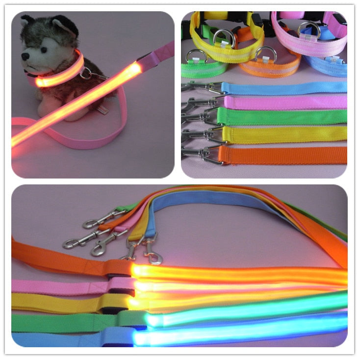 LED Dog Leash