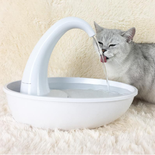 Swan Cat Water Bowl