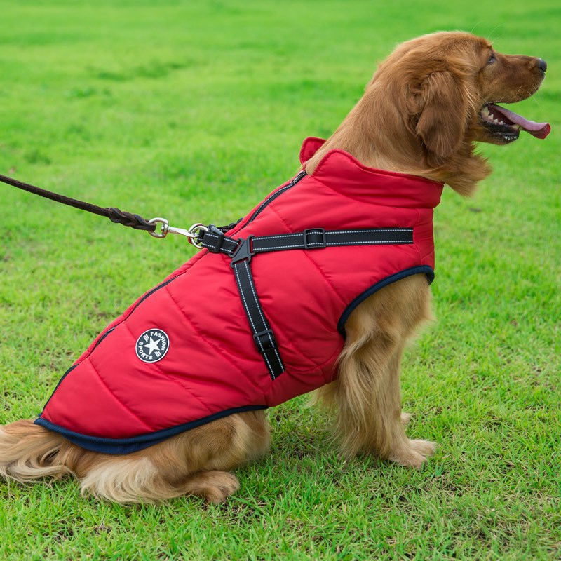 All Season Dog Coat