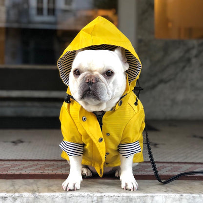 Dog Classic Raincoat